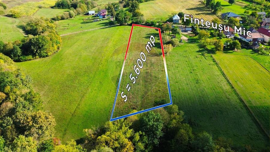 Teren 5,600mp Finteusu Mic / Strada Principala - 1