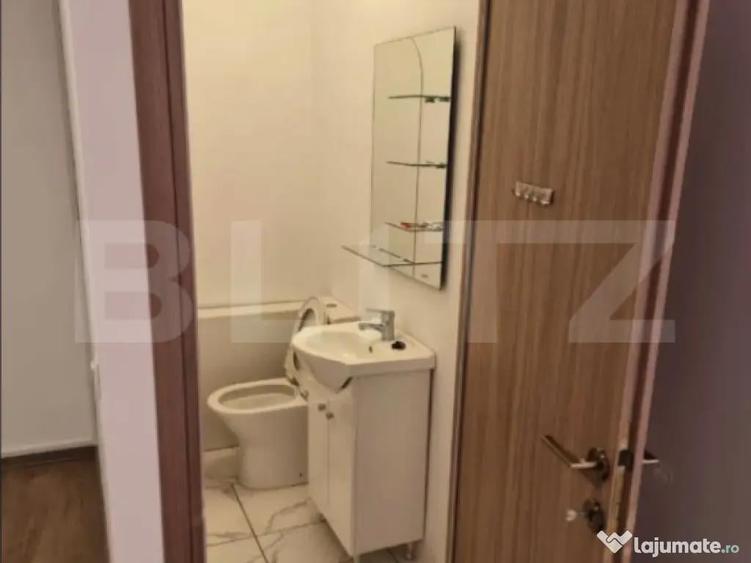 Spa?iu birou, 25 mp, Zona Dambul Rotund - 2