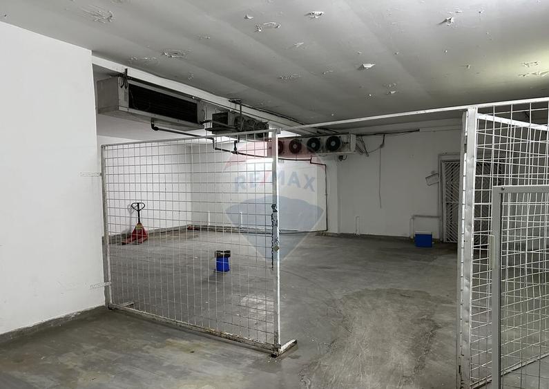 Hale Brailei Plus Frig - 2