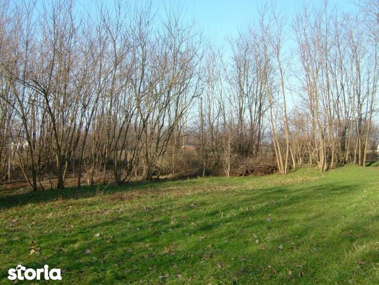 Vand teren in Nagygec (Csengersima) 10 km de Satu Mare - 5
