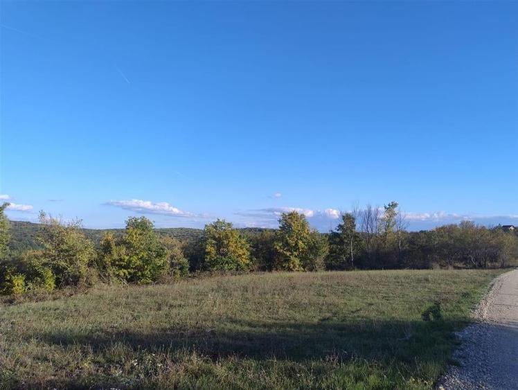 PECO Teren intravilan Saldabagiu De Munte - 1