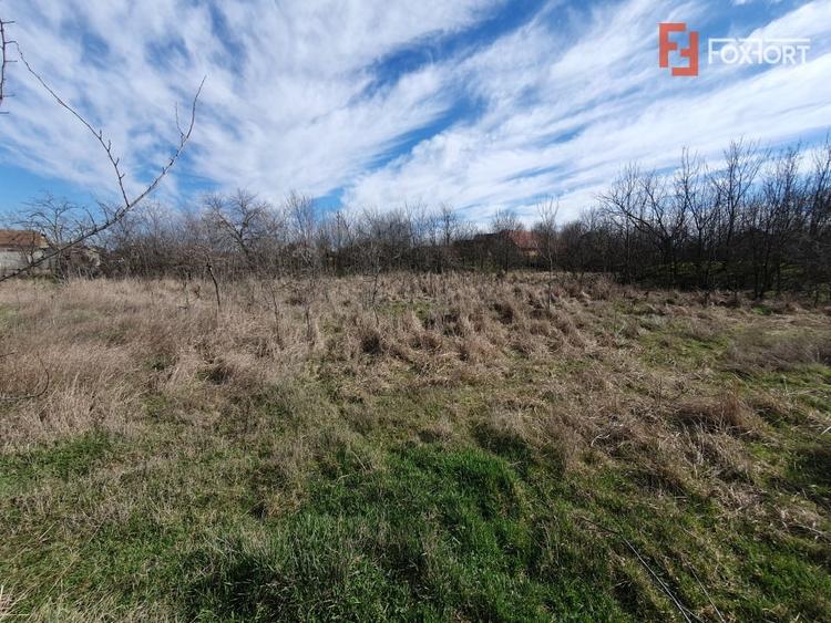 Teren intravilan 2840 mp cu fundatie - Jebel - 2