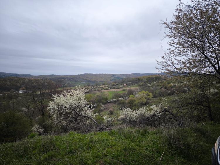 Teren de vanzare situat in Bistrita, zona Drumul Tărpiului - 2