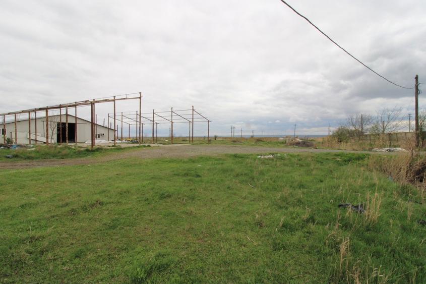 Hala in Foltesti - 3