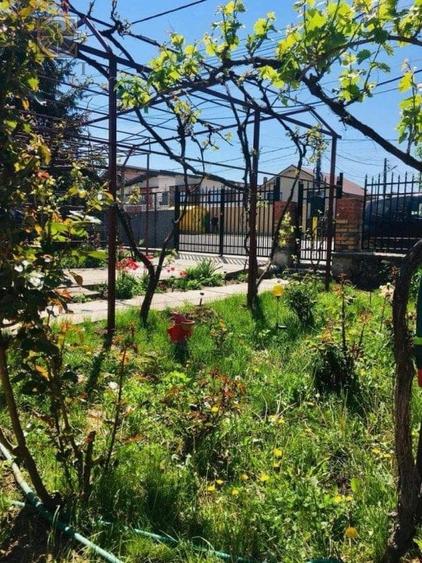 Casa + teren 871 mp - Valu lui Traian - Constanta - 3