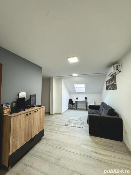 Ofer spre inchiriere STUDIO Modern si Primitor - 9