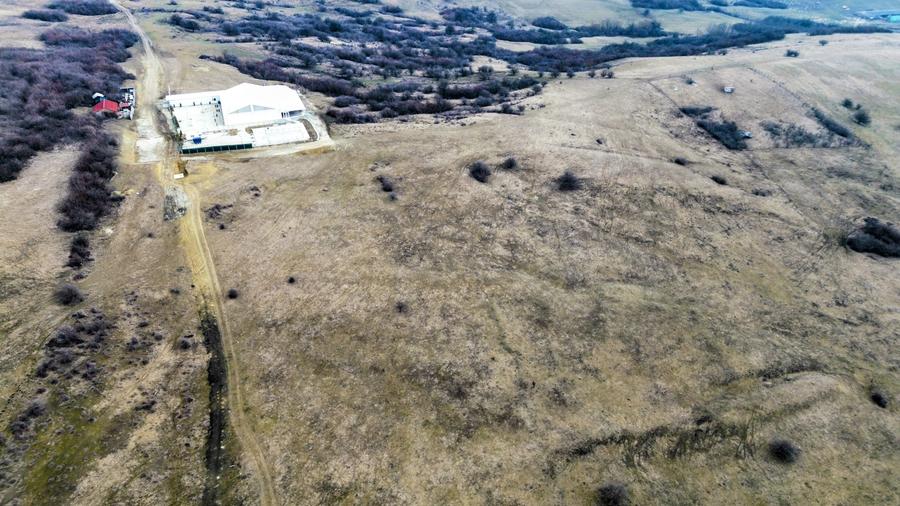 Teren agricol extravilan de vânzare – 67.500 mp – Dealul Daii, Sibiu - 8