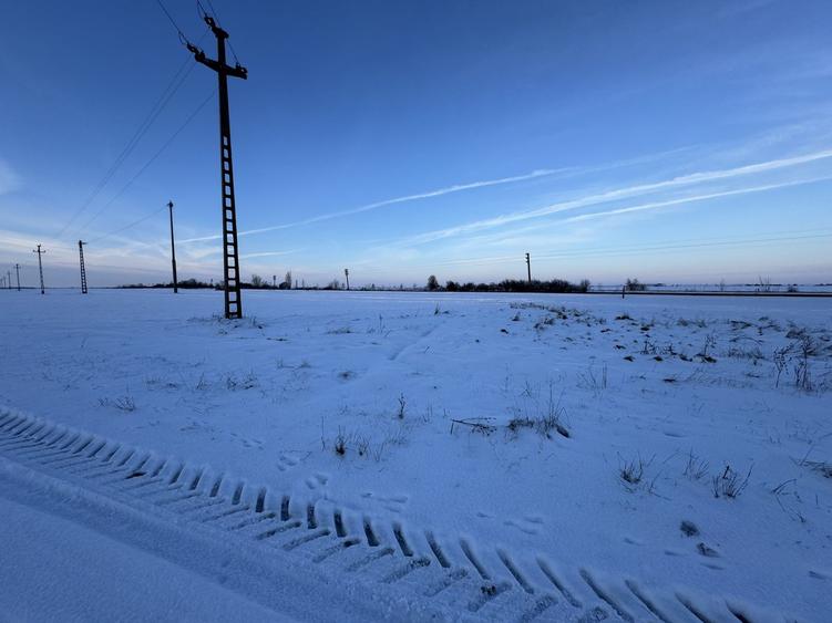 Vand Teren Extravilan Becicherecu Mic(zona industriala) 18.000mp,Utilitati - 6