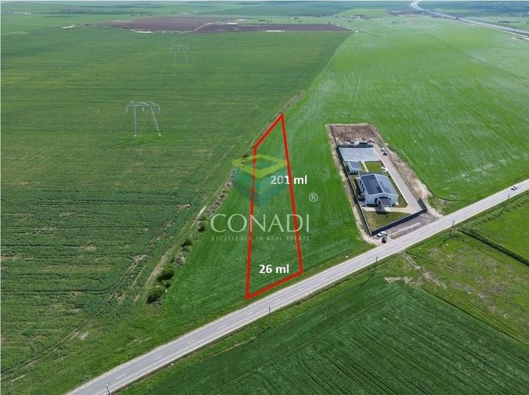 Teren Intravilan Constructii - Industrial Cernica | Balaceanca - 1