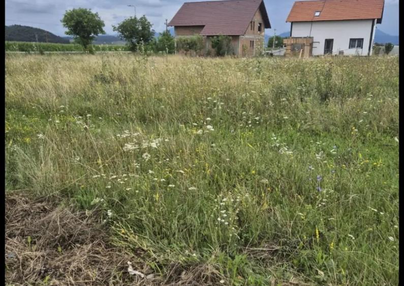 Teren de vanzare 909mp - 3