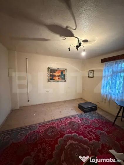 Proprietate completa in Sacuieni- Doua Case + Anexe - 8
