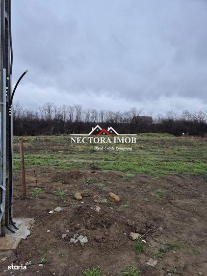 NECTORA IMOB-Teren Intravilan 501 mp, cu front 19ml, Nojorid,Utilitati - 6