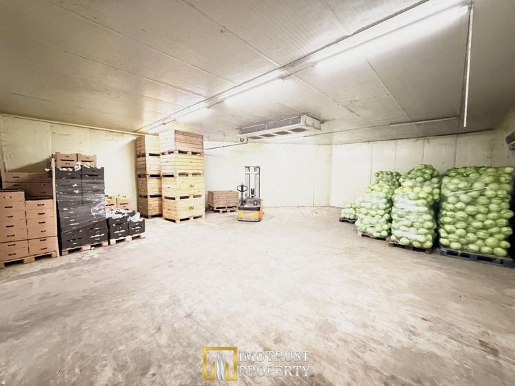 Hala industrială de vanzare Arad 540 mp, depozitare la rece, acces TIR - 2