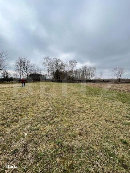 Teren intravilan 5775 mp- Galanesti - 3