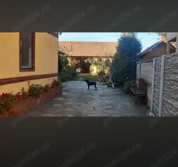 Vand casa in sat Hitias. - 4