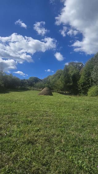 Loturi teren Poiana Campina, 30eur/mp,apa,curent,gata pentru construir - 8