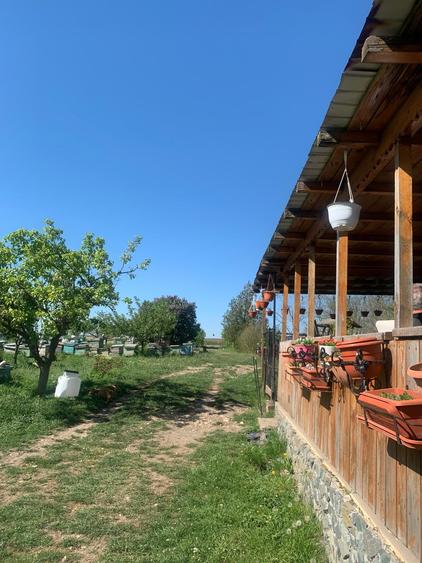 Fermă de vânzare - DN3 - 84m deschidere - 5