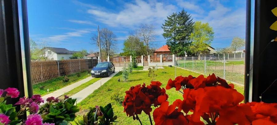 Buturugeni 23 km langa Bucuresti, casuta 2023, frumoasa, ingrijita Buturugeni 23 km langa Bucuresti, casuta 2023, frumoasa, ingrijita
