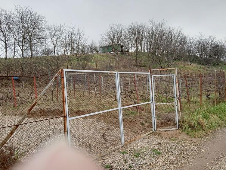 Teren intravilan 500 mp Oradea cu toate utilitatile 32500 euro - 8