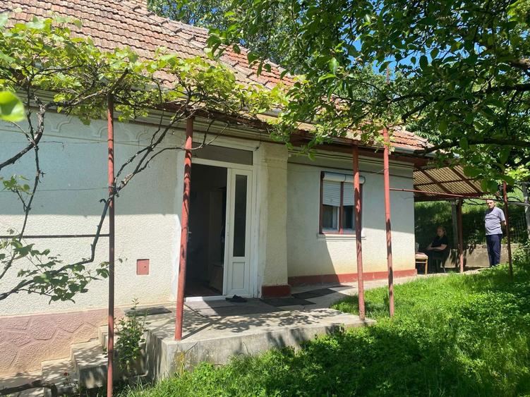 Casa de vinzare oras Ludus. - 5