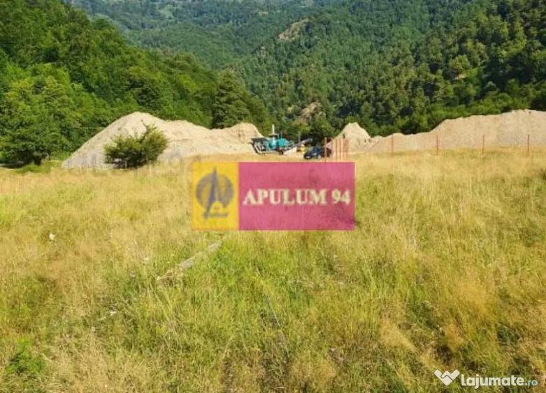 Teren Jude?ul Valcea - Brezoi, Valea lui Stan - 18