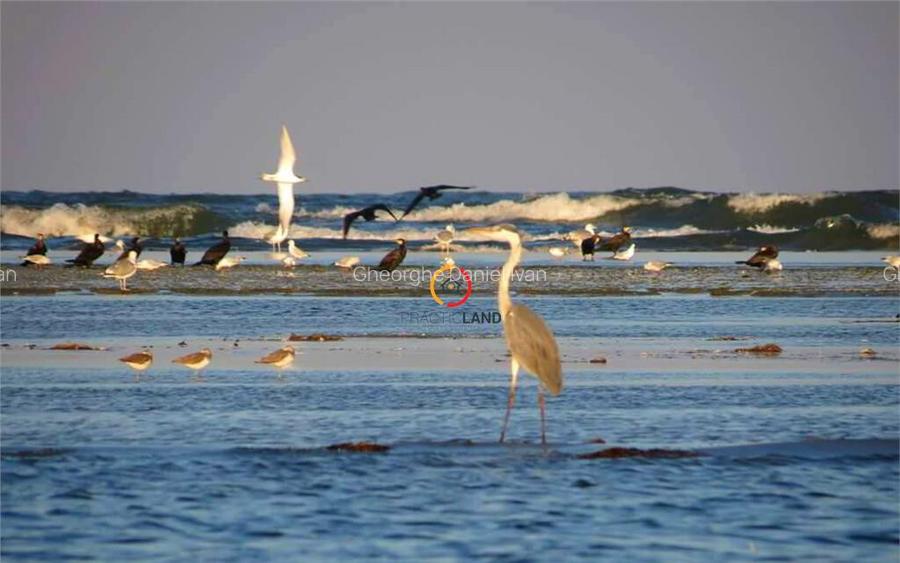 Teren 1950mp cu casa batraneasca 45 mp