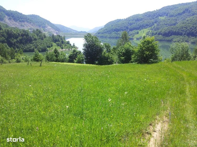Teren unicat baraj Siriu Buzau 73000 mp - 1