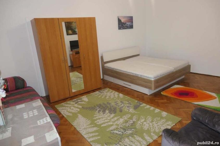 Apartament 1 camera spa?ios, incalzire proprie, central - Podgoria - 7