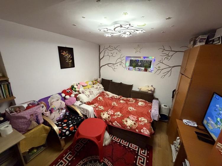 Casa cu 2 corpuri, acces auto, curte – Republica / Industriilor - 2