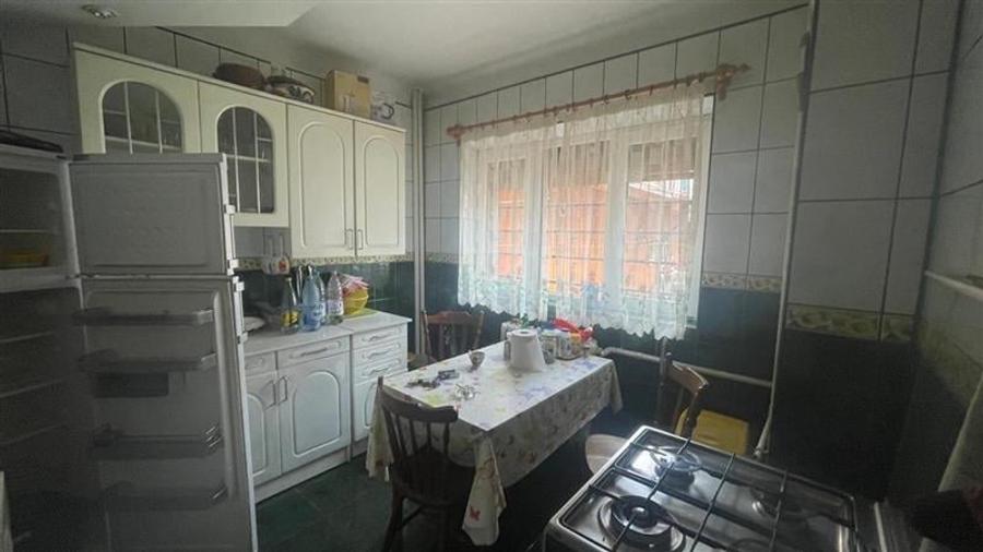 Ferdinand, cartier rezidential, vila burgheza cu magnolie - 5