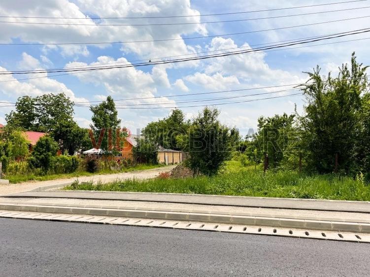 Balotesti - Caciulati, teren intravilan, suprafata 2.596 mp - 7