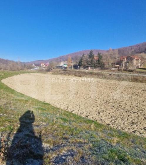 Teren extravilan - Sita Buzaului -6800 mp posibilitate trece Teren extravilan - Sita Buzaului -6800 mp posibilitate trece