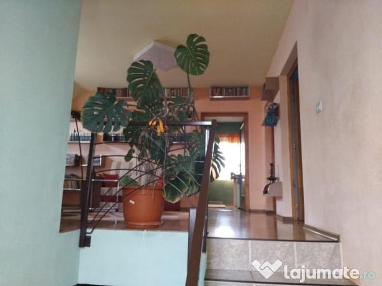 Proprietate cu 2 cladiri in Chisineu Cris - ID : RH-41243-property - 11