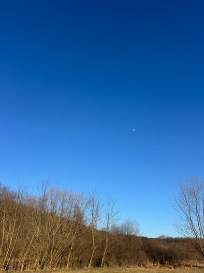 Oază de liniște cu vedere la munți – 2.600 mp lângă Aeroportul Sibiu (Cristian) - 6