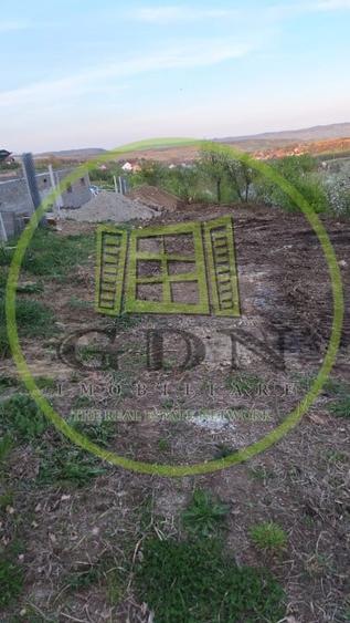 Teren intravilan - 1000 mp - Daia Noua - 3