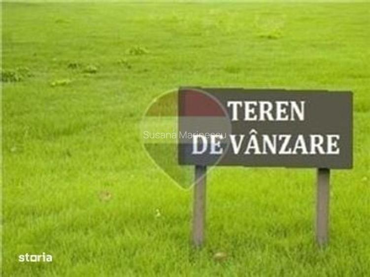 Teren intravilan de vanzare / loc de casa in Zerind 771 mp