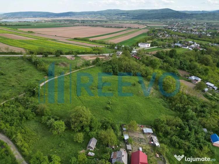 Teren de vanzare, Com. Racova, Str. Bradului, Bacau - 5