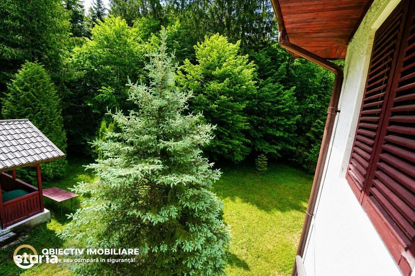 Cabana de Vanzare in Tarcau Natura, Relaxare si Pescuit la Poarta - 8