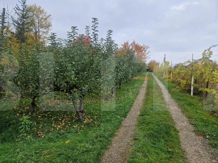 Casa Individuala | 200 MP | Baisa - 6