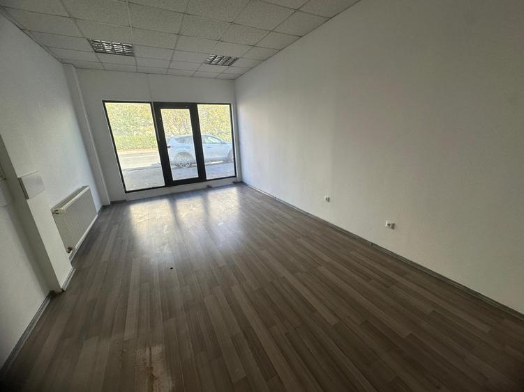 SAD zona Lipovei Dedeman - 9