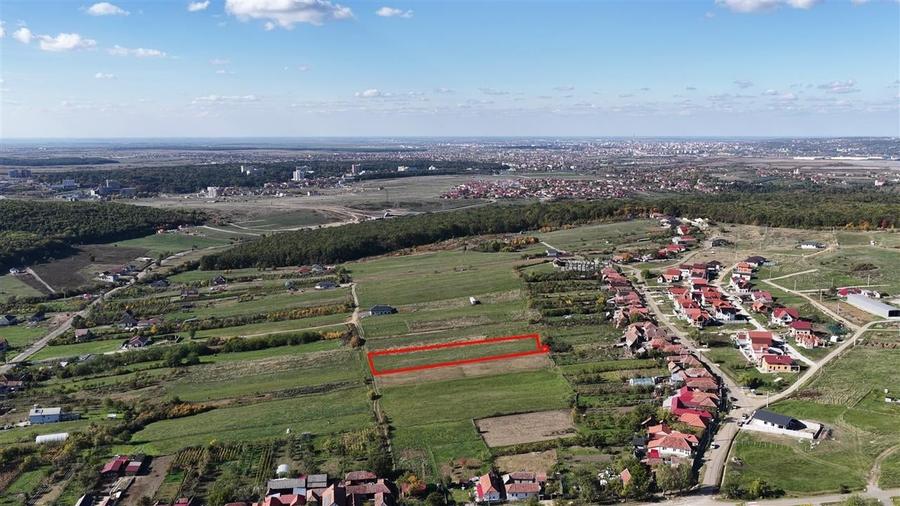 RECO Teren Intravilan Betfia - 6