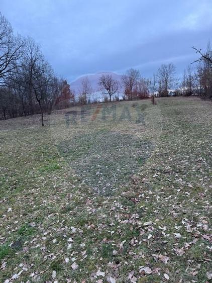 Teren intravilan cu priveliste de vanzare in Rus - 1