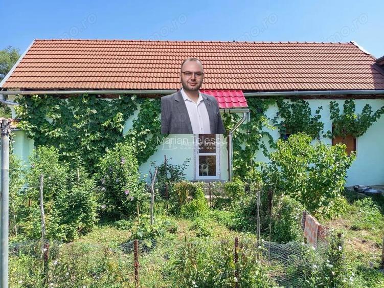 Ilidia, Casa de Vacanta, 3 Camere, 899mp Teren, Usor Negociabil