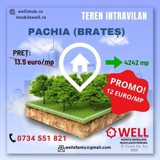 De vânzare teren intravilan în Pachia! - 1