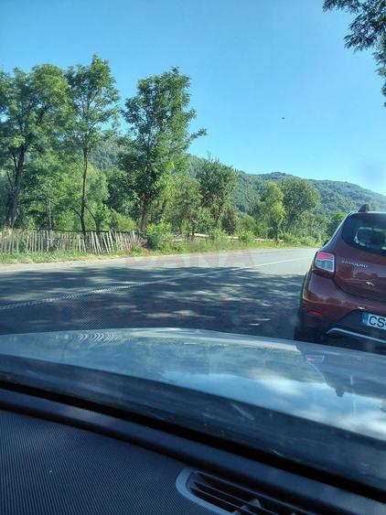 TEREN INTRAVILAN ZĂVOI\ZONA VALEA BISTREI, JUD.C-S - 2