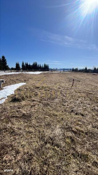 Teren Intravilan de 1000 mp , zona centrala , Copcea , Marisel - 8