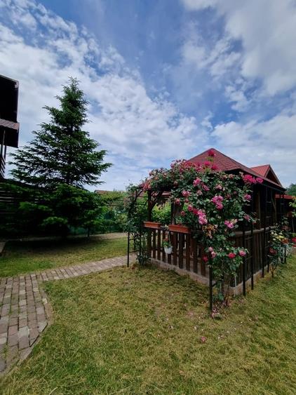 Proprietar – ofer spre vânzare vilă Corbeanca/Tămăși, langa padure - 12