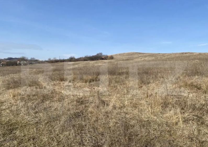 Teren extravilan in suprafata de 140551 mp in loc. Recea - 4