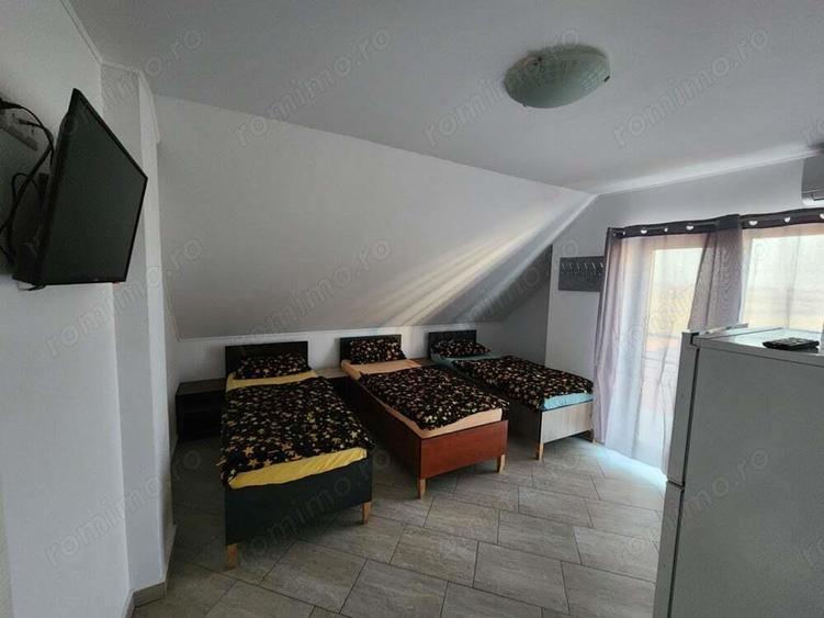 Proprietar Inchiriez Cazare muncitorI LUX la Sanandrei - 2