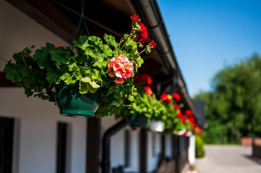 De vanzare - investitie la cheie - pensiune Voronet 8 camere  2023 - totul nou! - 23